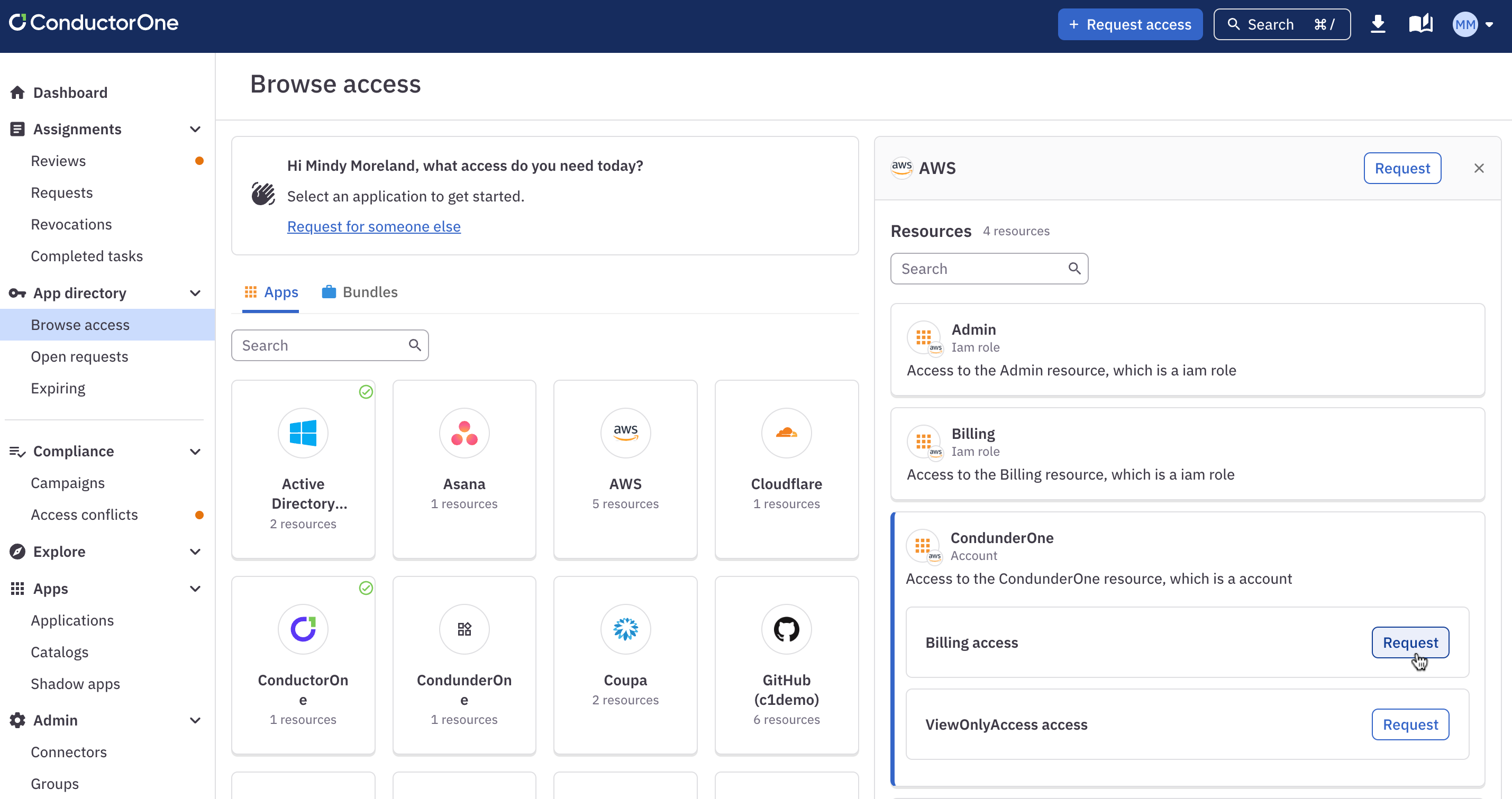 The browse access page open to the AWS account resource, as described in the instructions above.